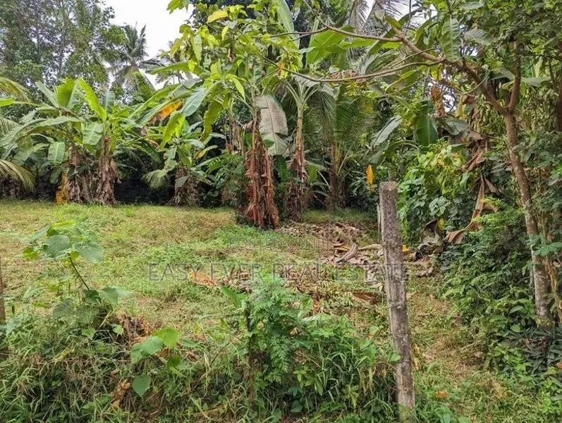 Land for sale in Nittambuwa