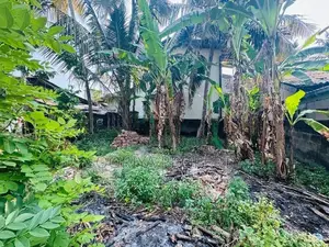 Valuable Land for Sale - Piliyandala