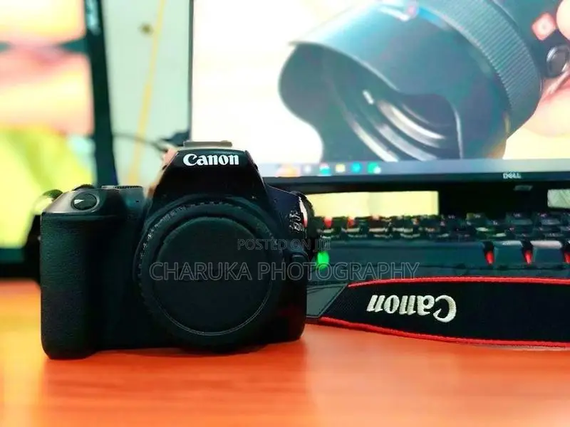 Canon 250D Camera Full Set with Two Lens
