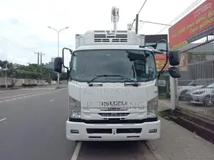 Isuzu Forward MANUAL -30 2018