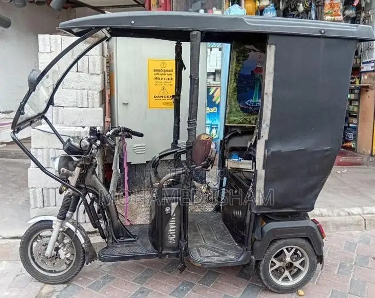 Electric Threewheel 2022