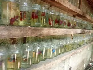 ෆයිබර් මසුන්