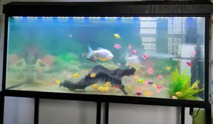 දිග අඩි 4 Fish Tank