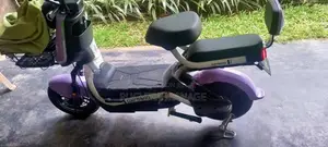 Electric Scooter 2025