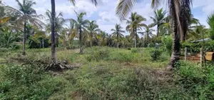 Land for Sale in Kuliyapitiya