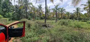 Land for Sale in Kuliyapitiya
