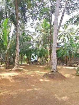 COMMERCIAL LAND FOR RENT IN KELANIYA (SP486)