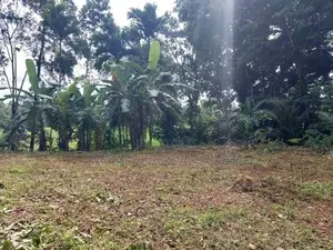 Land for sale in Nittambuwa