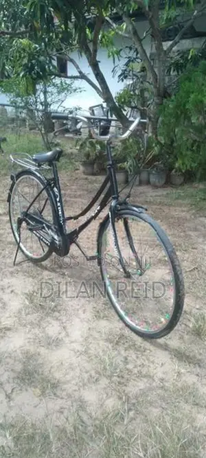 Bicycle