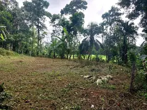 Land for sale in Nittambuwa