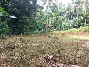 Land for sale in Nittambuwa