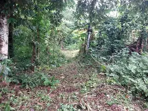 Land for sale in Nittambuwa