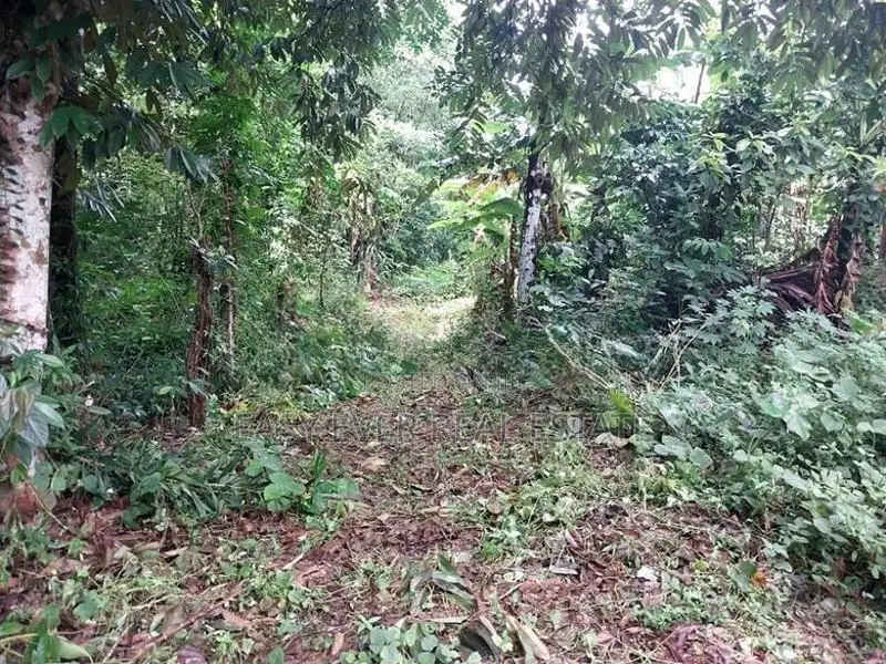 Land for sale in Nittambuwa