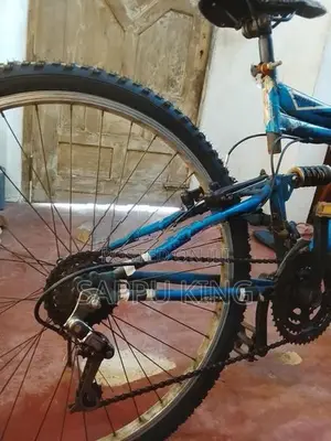DSI Bicycle