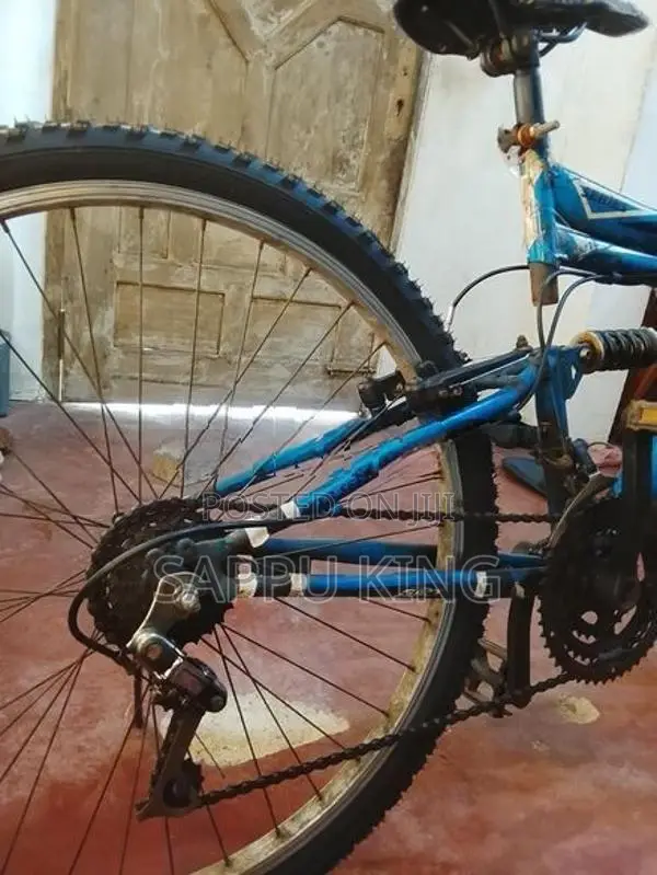 DSI Bicycle