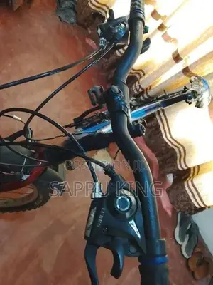 DSI Bicycle