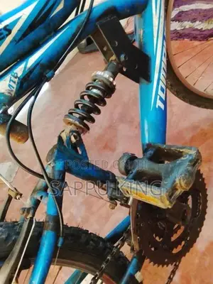 DSI Bicycle