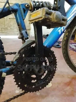 DSI Bicycle