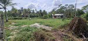 Land for Sale in Kuliyapitiya