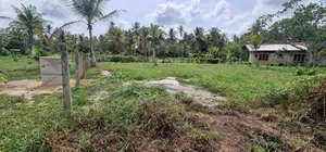 Land for Sale in Kuliyapitiya