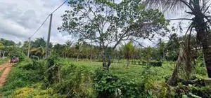 Land for Sale in Kuliyapitiya
