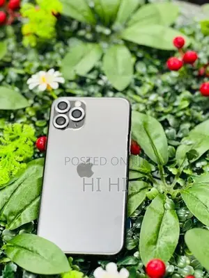 Apple iPhone 11 Pro (Used)