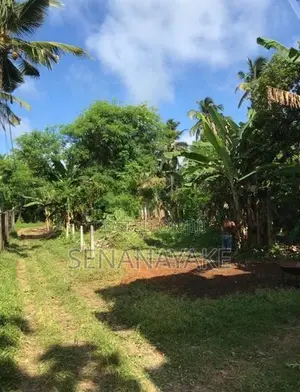 Highly Residential Land for Sale - Panadura (100M/1 min to Galle Road)