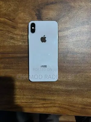 Apple iPhone X (Used)