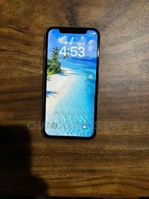 Apple iPhone X (Used)