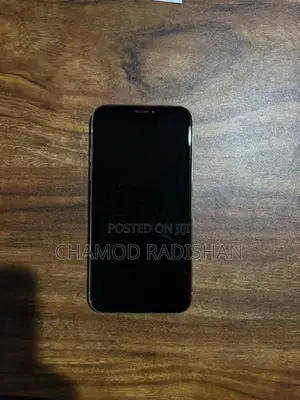 Apple iPhone X (Used)