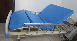 Three Function Electric Hospital Bed with Mattress