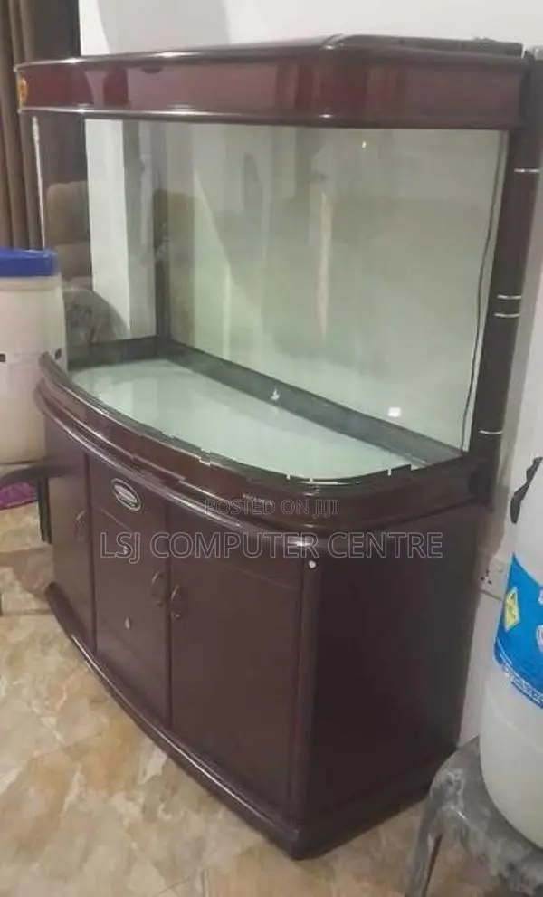 Fish Tank wth Air Filter
