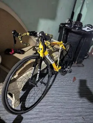 Ridley Racing Bicycle