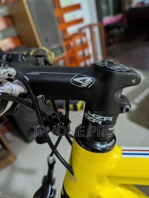 Ridley Racing Bicycle