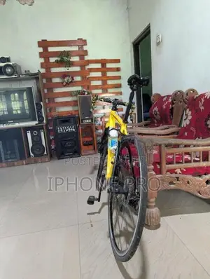 Ridley Racing Bicycle