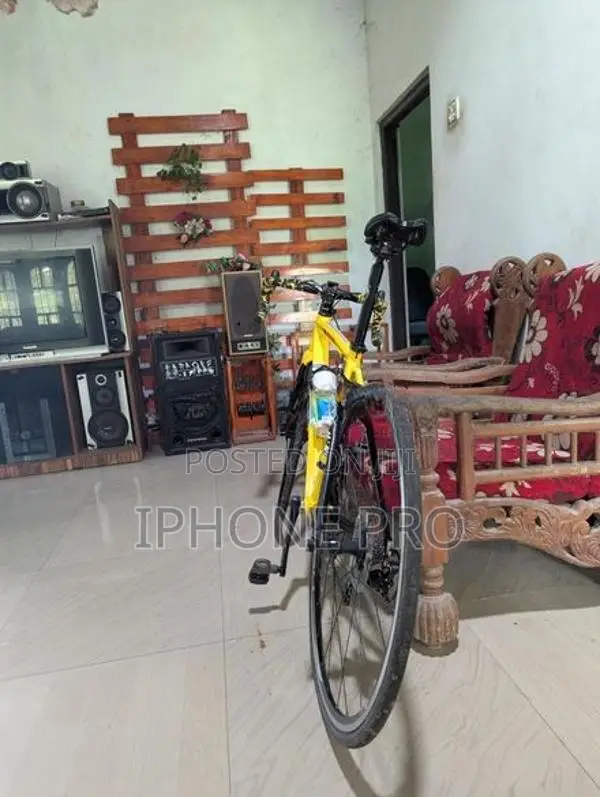 Ridley Racing Bicycle
