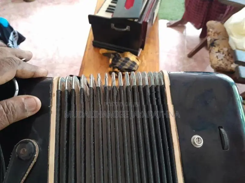 Accordion 60 Base