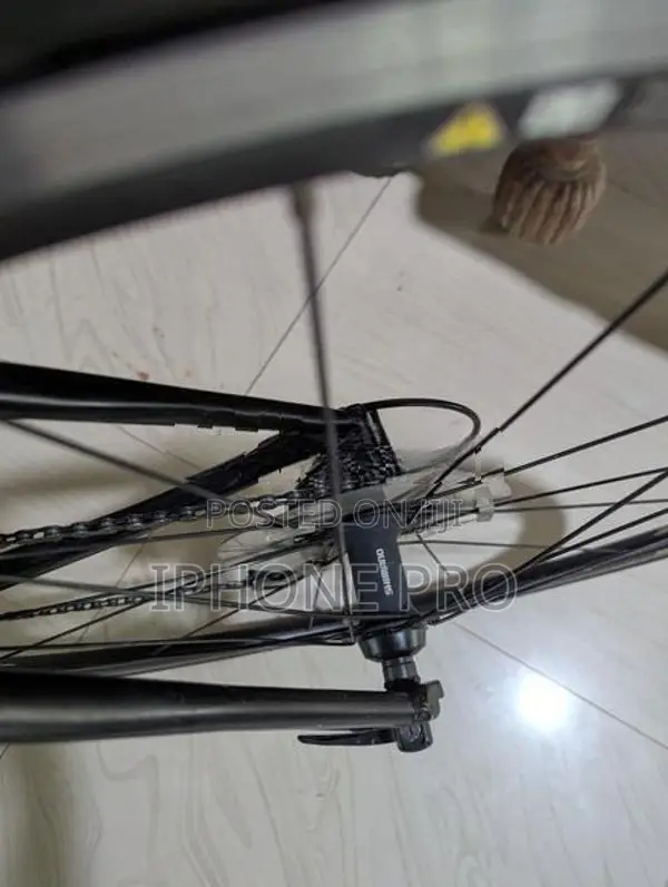 Ridley Racing Bicycle