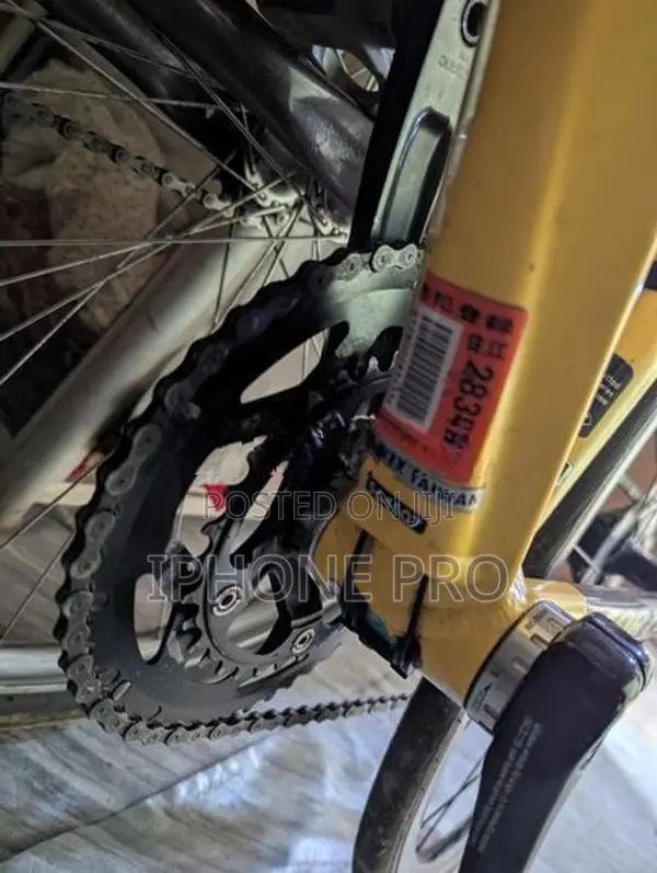 Ridley Racing Bicycle