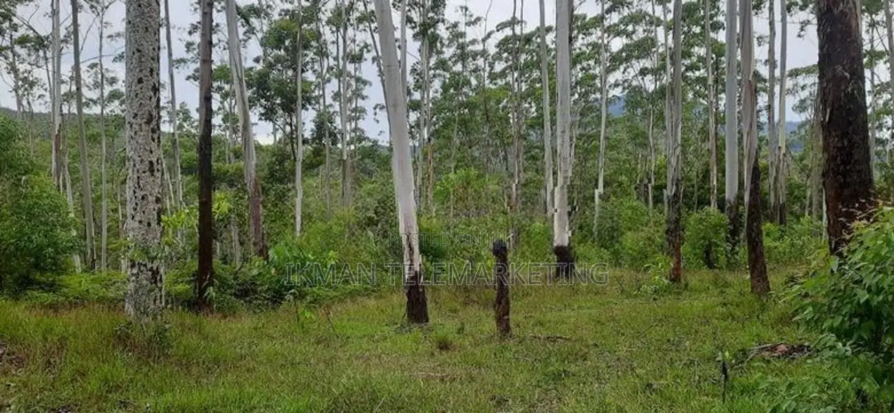 Land for Sale in Ella (Raja Kotuwa Area)