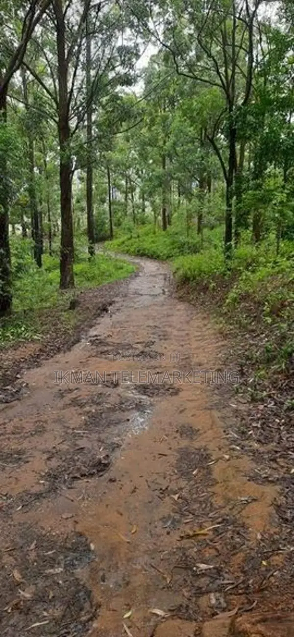 Land for Sale in Ella (Raja Kotuwa Area)