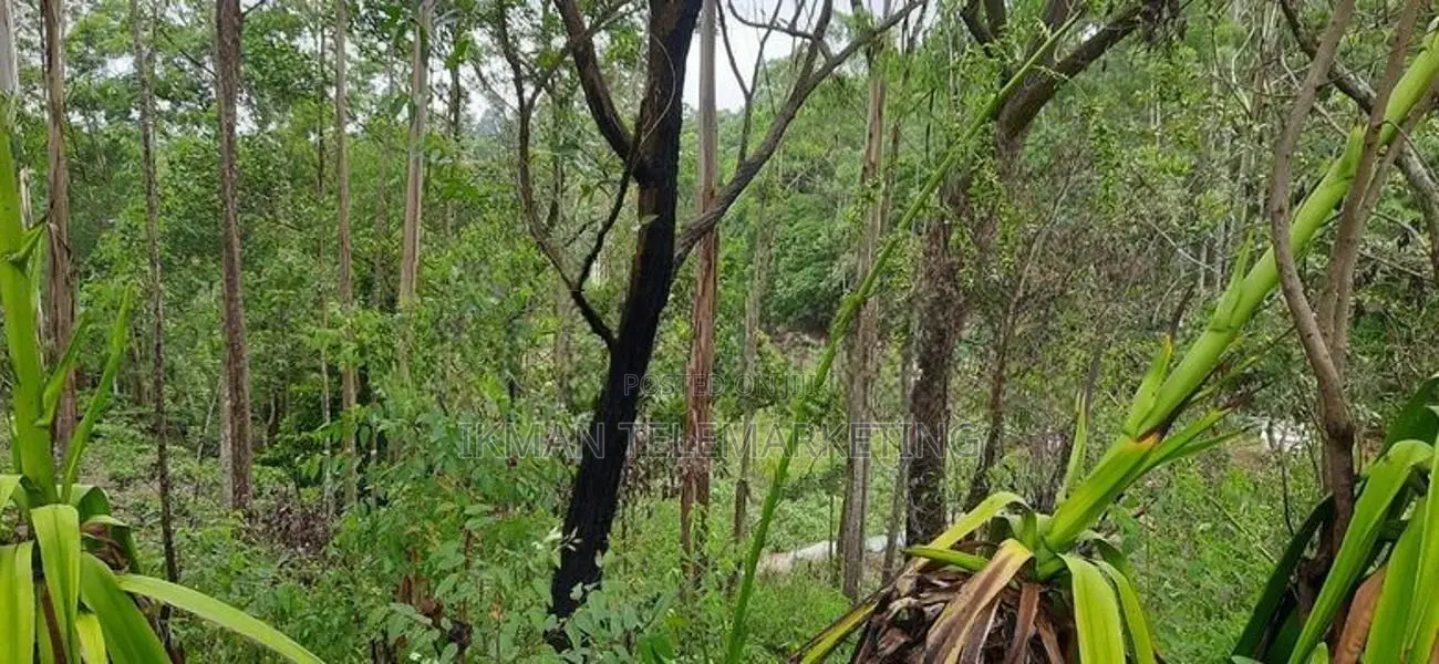 Land for Sale in Ella (Raja Kotuwa Area)