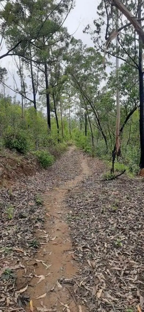 Land for Sale in Ella (Raja Kotuwa Area)