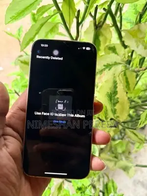 Apple iPhone 13 (Used)