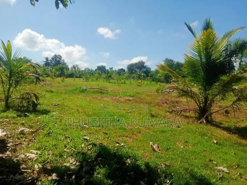 Land for Sale ( Residential Agricultural) Polpithigama