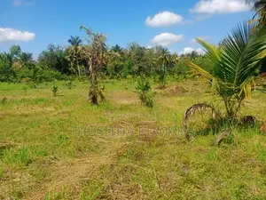 Land for Sale ( Residential Agricultural) Polpithigama
