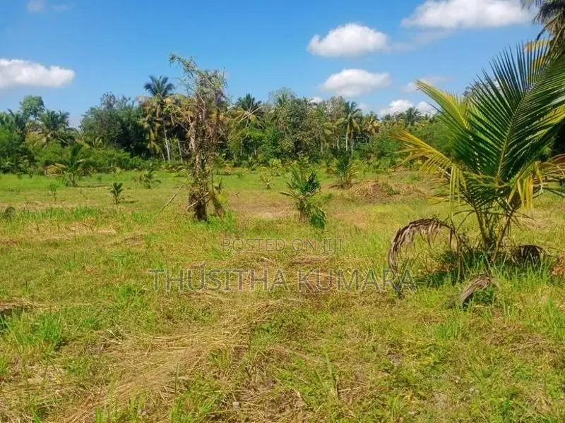 Land for Sale ( Residential Agricultural) Polpithigama