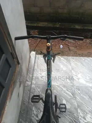Aima Aria 11 Bicycle
