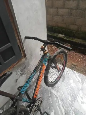 Aima Aria 11 Bicycle