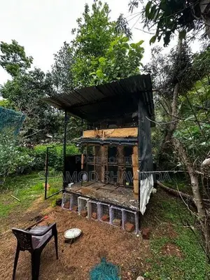 Pigeon Cage